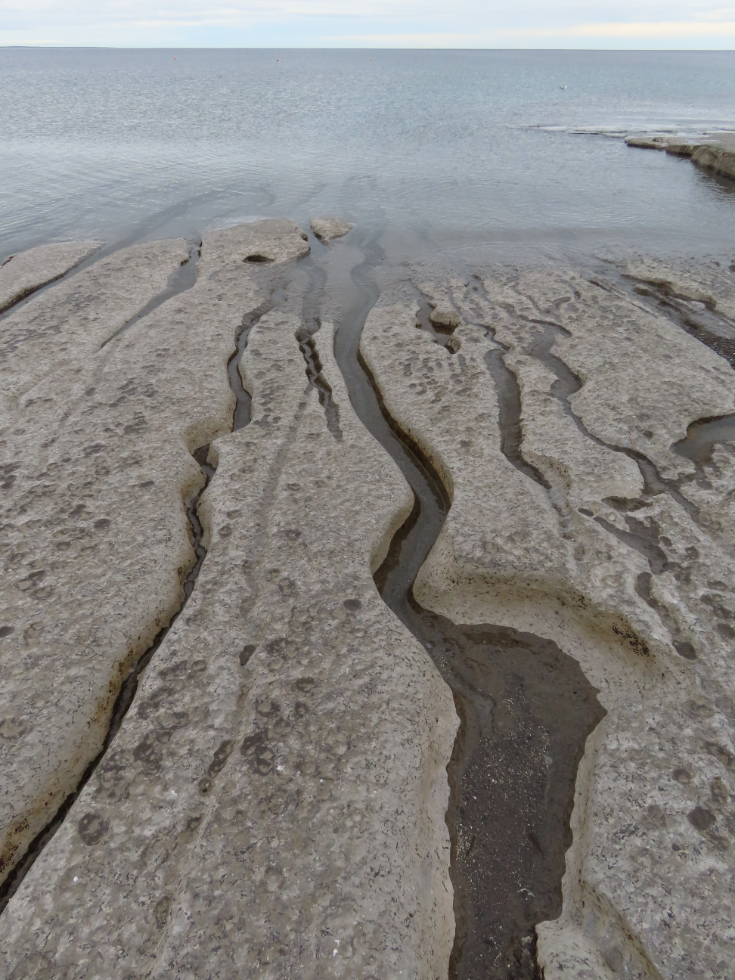 Newfoundland's limestone barrens meets the sea at Port au Choix.