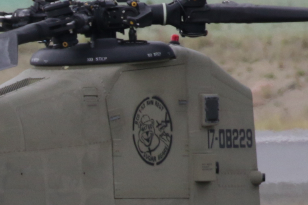 Bravo Company, 1st Battalion of the 228th Aviation Regiment, US Army.