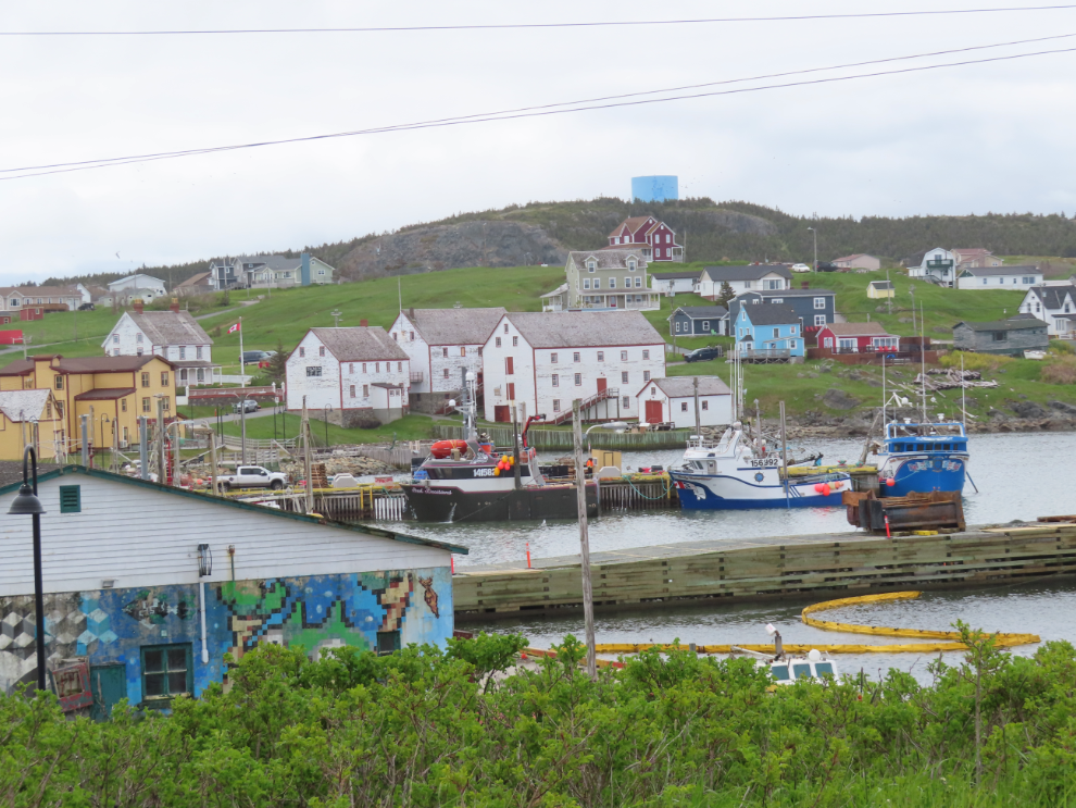 Exploring Bonavista, Newfoundland.
