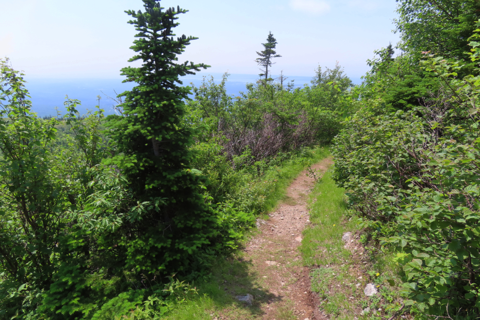 Hiking the Acadian Trail in Cape Breton Highlands National Park, Nova Scotia.