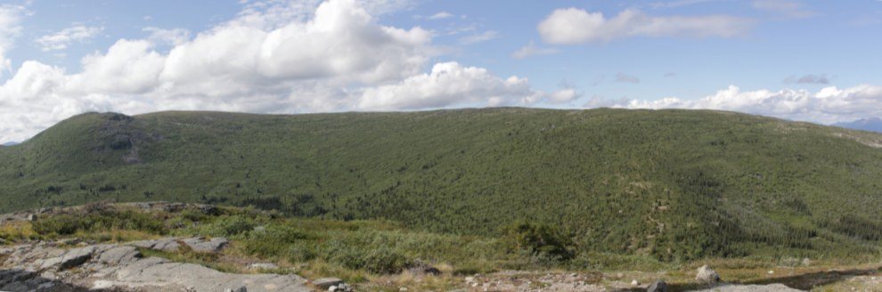The Mount Sumanik ridge at Whitehorse.