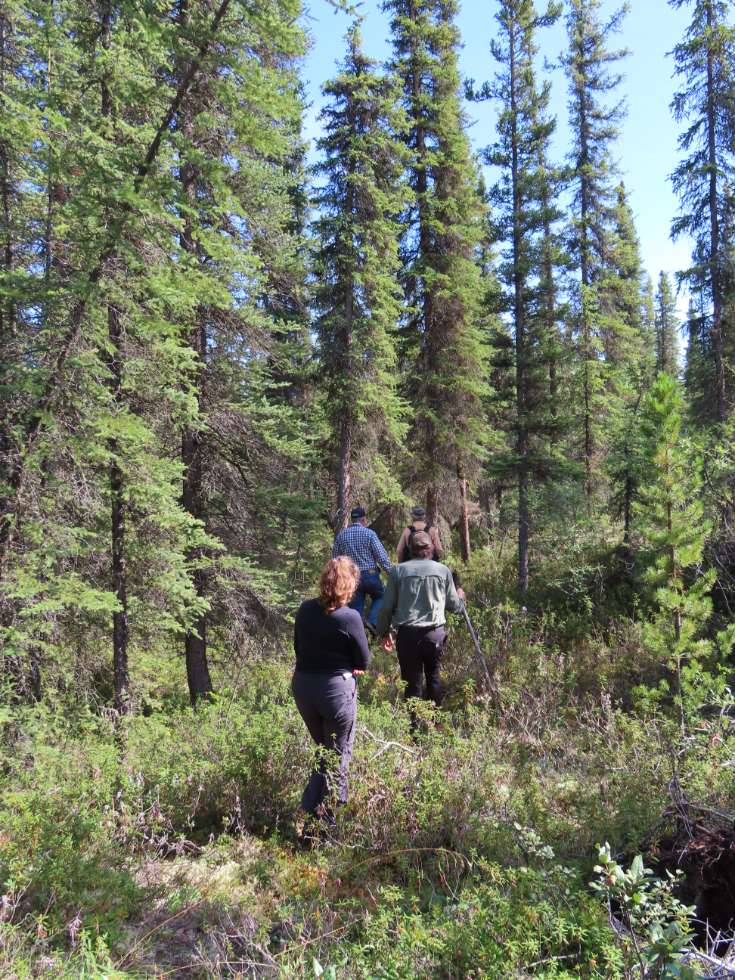 Hiking through the bush in the Whitehorse Copper Belt.
