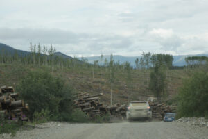 Driving through the vast firebreak project in the Whitehorse Copper Belt.