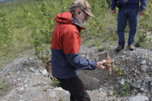 There are still 'artifacts' to be found at Whitehorse Copper.