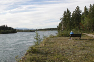 Along the Yukon River in Whitehorse.