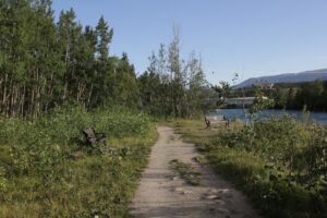 A trail along the Yukon River in Whitehorse.