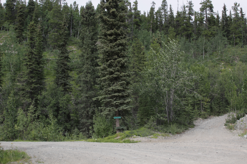 The start of the road up Haeckel Hill at Whitehorse.