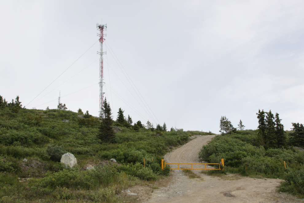 The access road to the forestry lookout tower on Haeckel Hill at Whitehorse.
