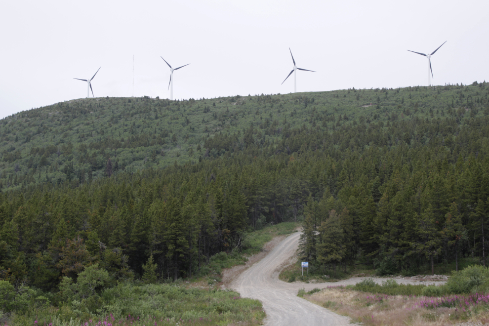 Haeckel Tower Road and the wind turbines at Whitehorse.