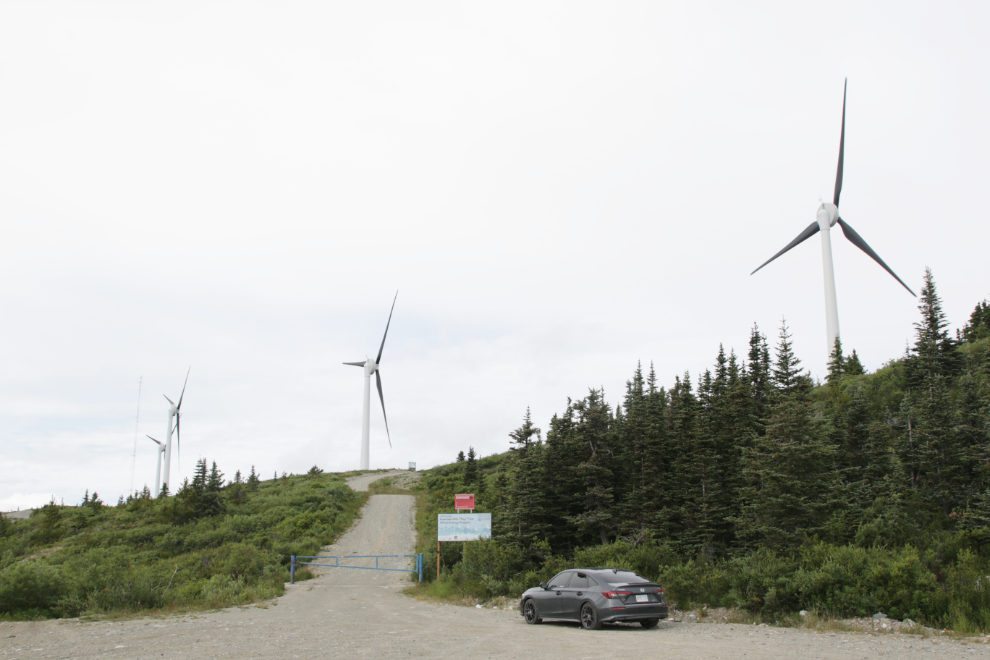 The access road to the wind turbines on Haeckel Hill at Whitehorse.