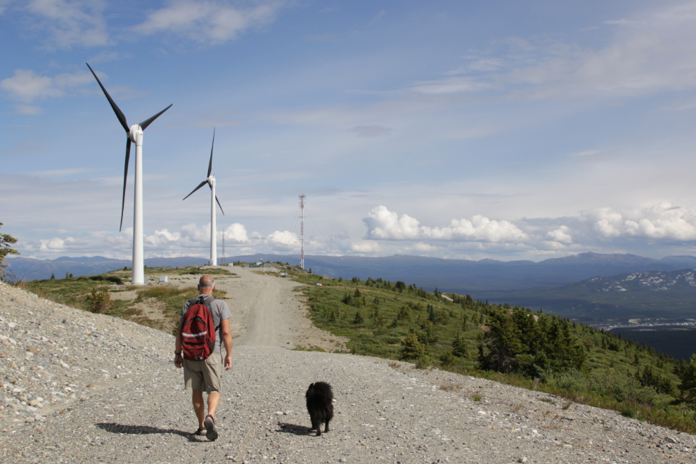 Murray Lundberg and his little dog Tucker at the wind turbines on Haeckel Hill in Whitehorse, Yukon.