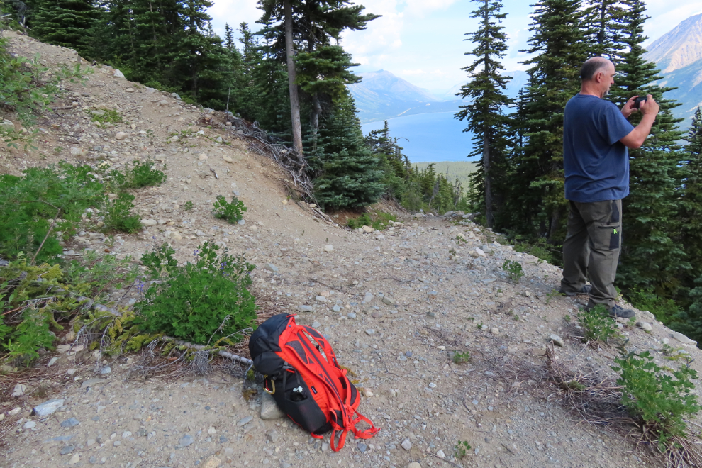 A mining exploration trail on 'Middle Ridge' above Tutshi Lake, BC.