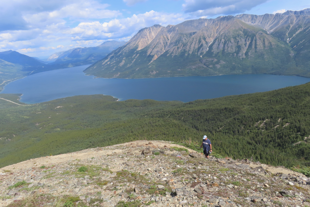 Exploring an old mining claim on 'Middle Ridge' above Tutshi Lake, BC.