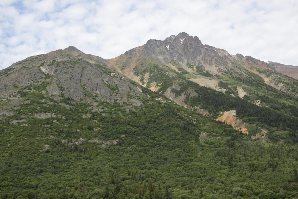 One of the great views from a mining exploration trail on 'Middle Ridge' above Tutshi Lake, BC.