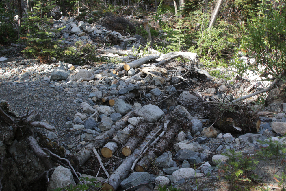 A creek washout on 'Middle Ridge' above Tutshi Lake, BC.