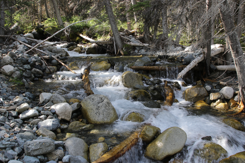 A creek on 'Middle Ridge' above Tutshi Lake, BC.