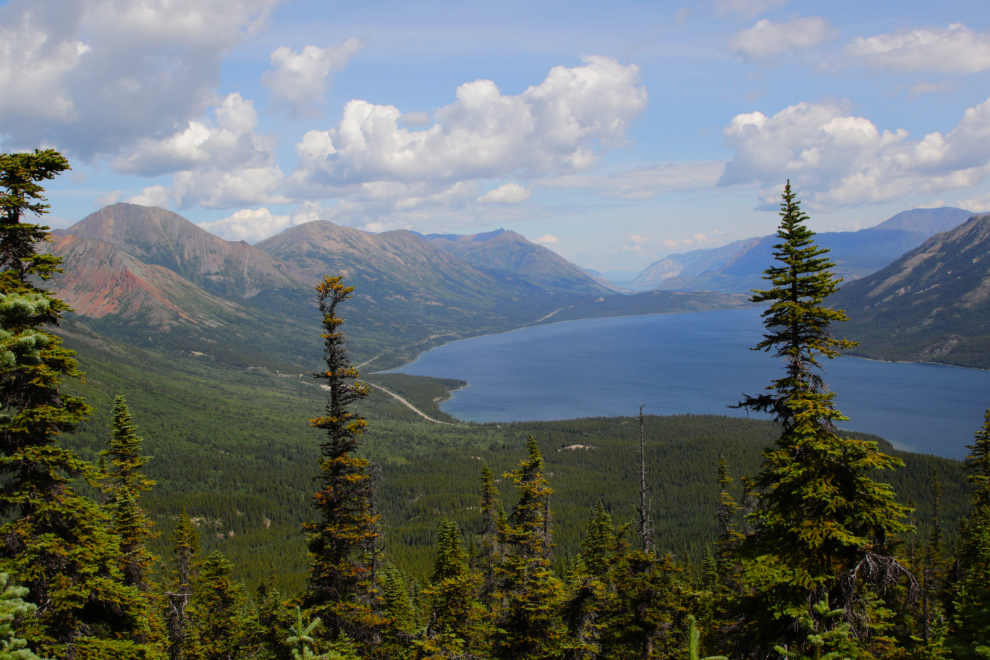 A high view of Tutshi Lake, BC.