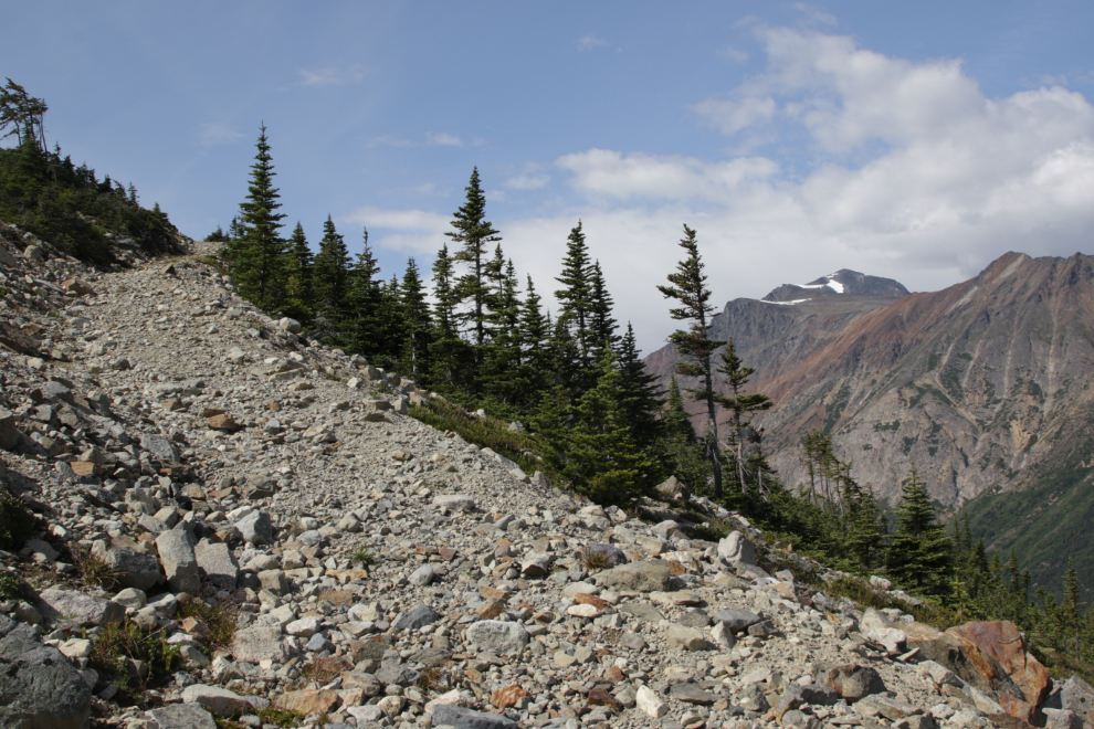 A mining exploration trail above the south end of Tutshi Lake, BC