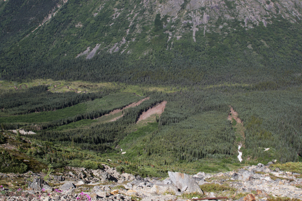 Destructive avalanche runs in Paddy Pass, BC.