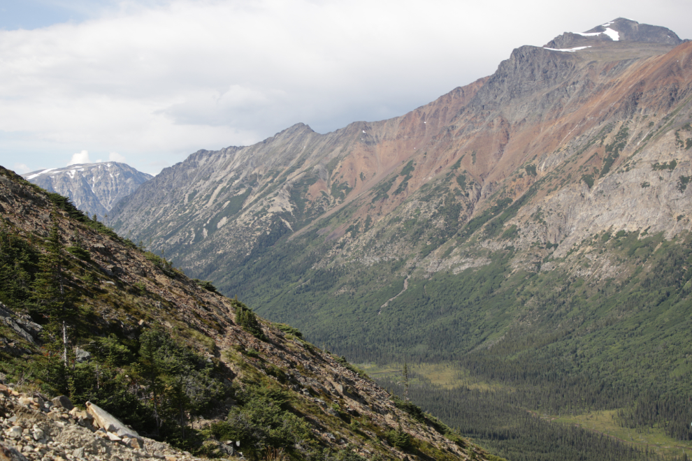 An old mining exploration trail on 'Middle Ridge' above Tutshi Lake, BC.