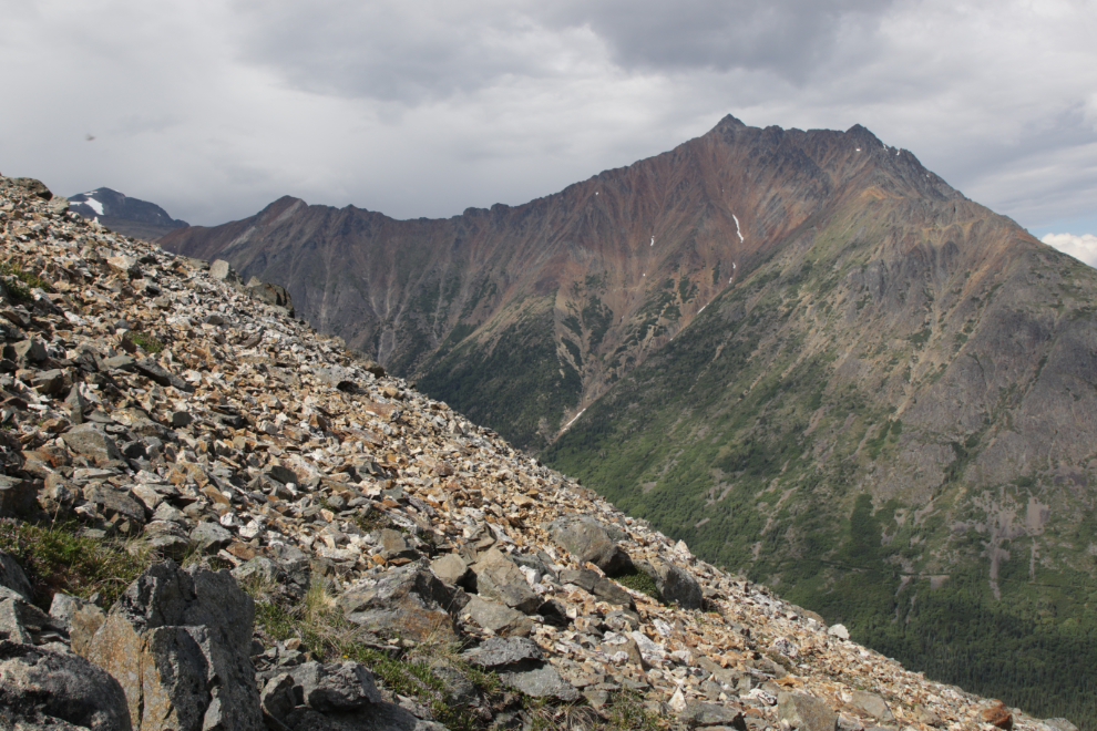 An old mining claim on 'Middle Ridge' above Tutshi Lake, BC.