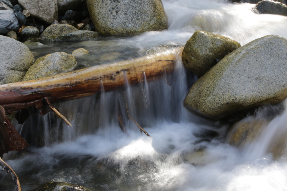 A creek on 'Middle Ridge' above Tutshi Lake, BC.